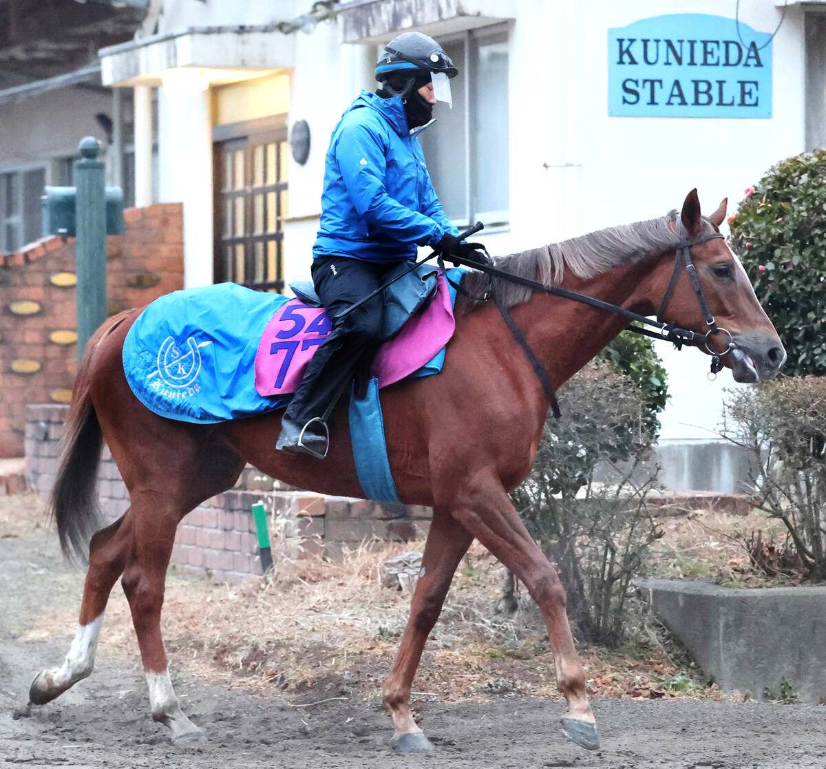 馬トク激走馬に計算されたヒズマスターピース(カメラ・荒牧 徹)