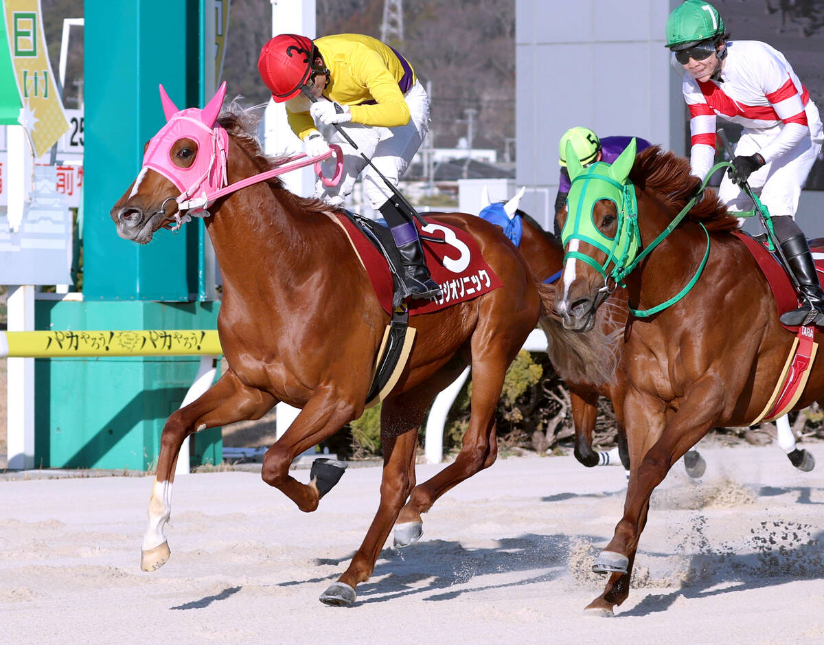 1着でゴールするベラジオソニック(左)