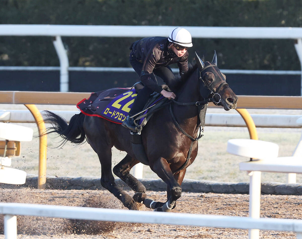 ロードクロンヌ