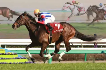 【追憶の中山記念】11年ヴィクトワールピサ　今思えば…日本競馬にとって大きな意味を持った壮行戦 - スポニチ Sponichi Annex ギャンブル