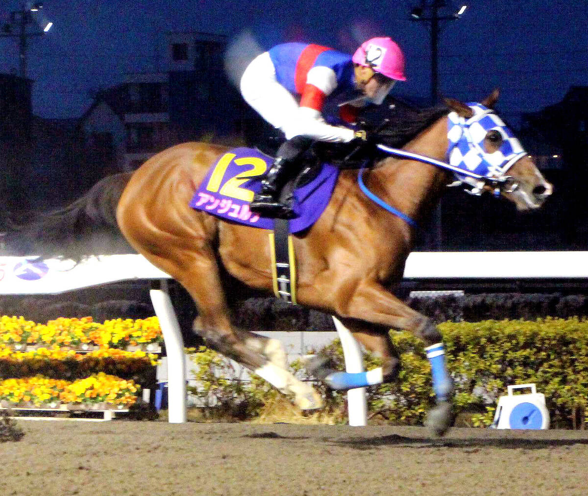 ６馬身差で重賞３連勝を飾ったアンジュルナ