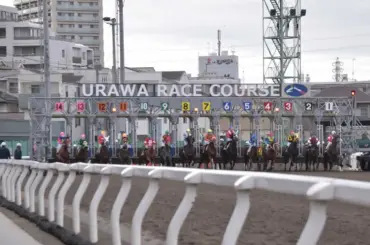 【浦和競馬】8Rで初の14頭立てレース実施　8枠14番シエルラビクトアは3着 - スポニチ Sponichi Annex ギャンブル