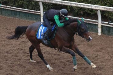馬トク激走馬に計算されたレイピア