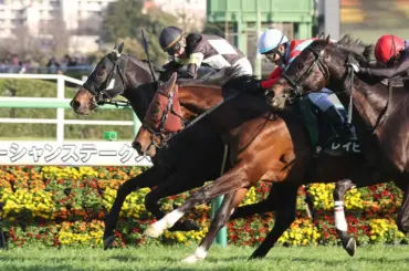 【オーシャンS】岩田康誠の真骨頂！　ペアポルックス　イン強襲で抜け出し重賞初制覇 - スポニチ Sponichi Annex ギャンブル