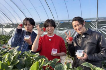 中島健人・WEST.重岡大毅・Snow Man岩本照、観光大使目指して全国巡る 地方創生バラエティ放送決定【中島・重岡・岩本の仲良しトリオ旅 大使になりたいッ！】 - モデルプレス