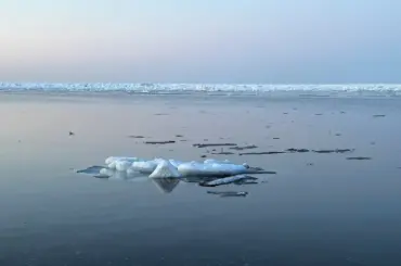 流氷に乗り100メートル流される 北見の大学生2人救助 小清水 - 北海道新聞デジタル