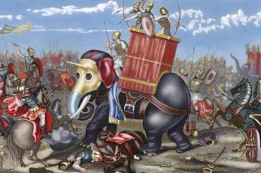 スペインで見つかったゾウの骨、ハンニバルがローマ侵攻に使った「戦象」か　西欧で初の物的証拠(1/2) - CNN.co.jp