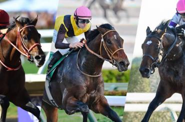 レース概要・過去結果 | 2026サウジカップ | JRA-VAN World