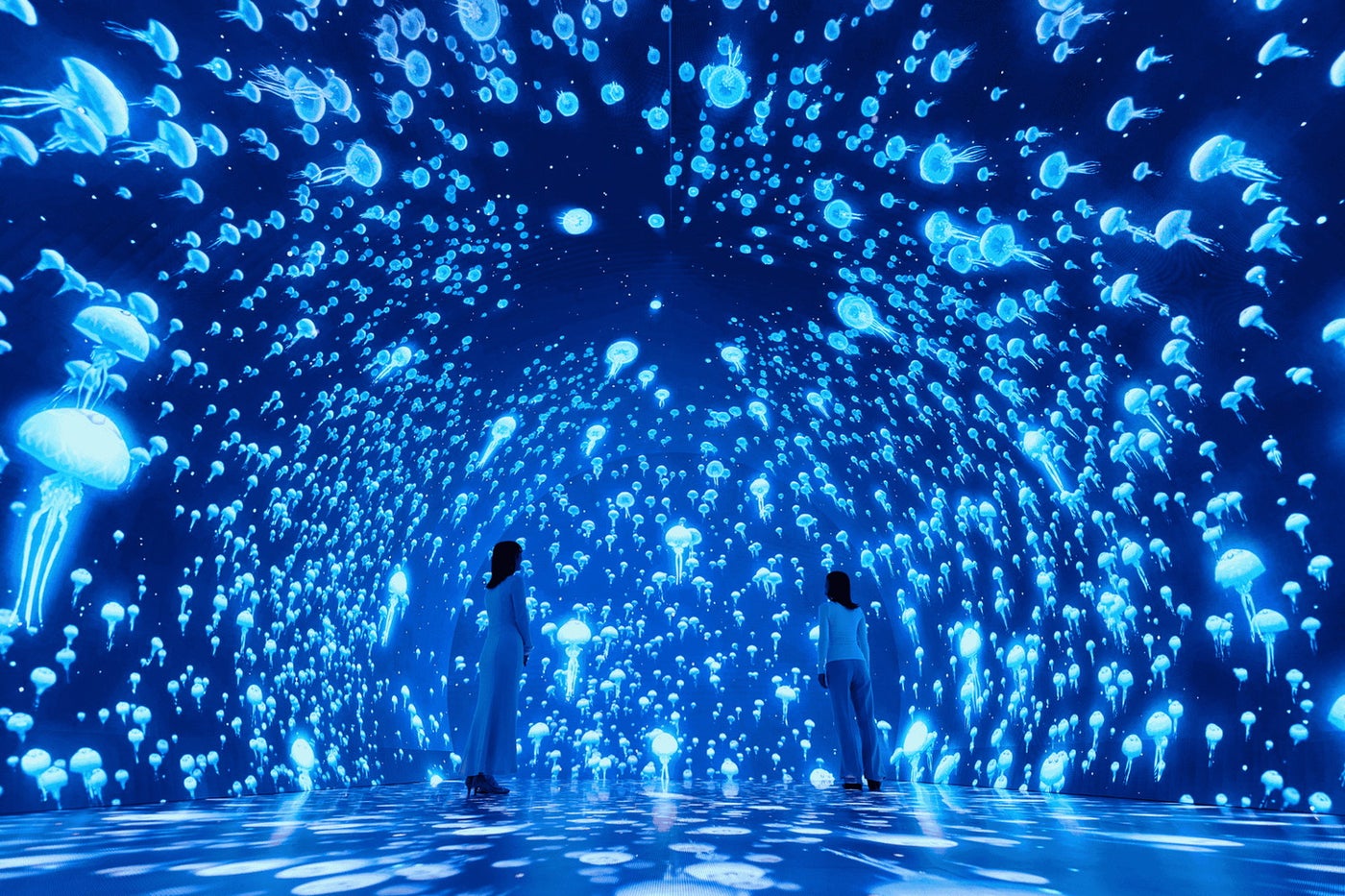 ワンダリア横浜／提供画像