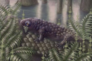 最も古い部類の陸生草食動物か、大きな顎に並ぶ歯で繊維をすりつぶす　新研究 - CNN.co.jp
