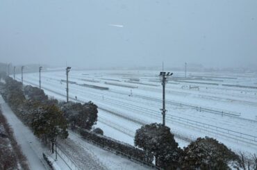 【JRA】美浦トレセンでは8日に出走予定だった馬たちも含めて一部コースで調教を実施 - 東スポ競馬