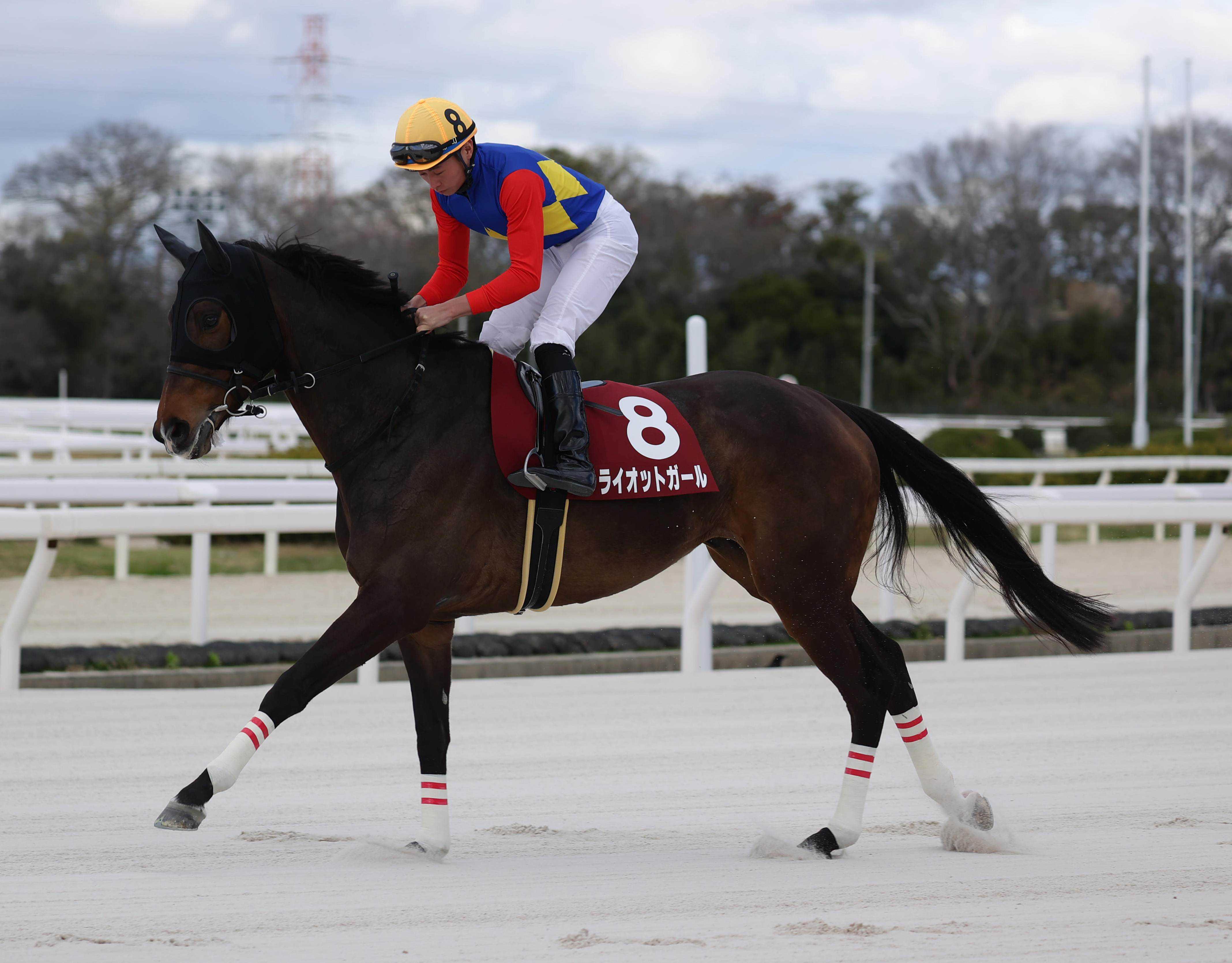 ライオットガール