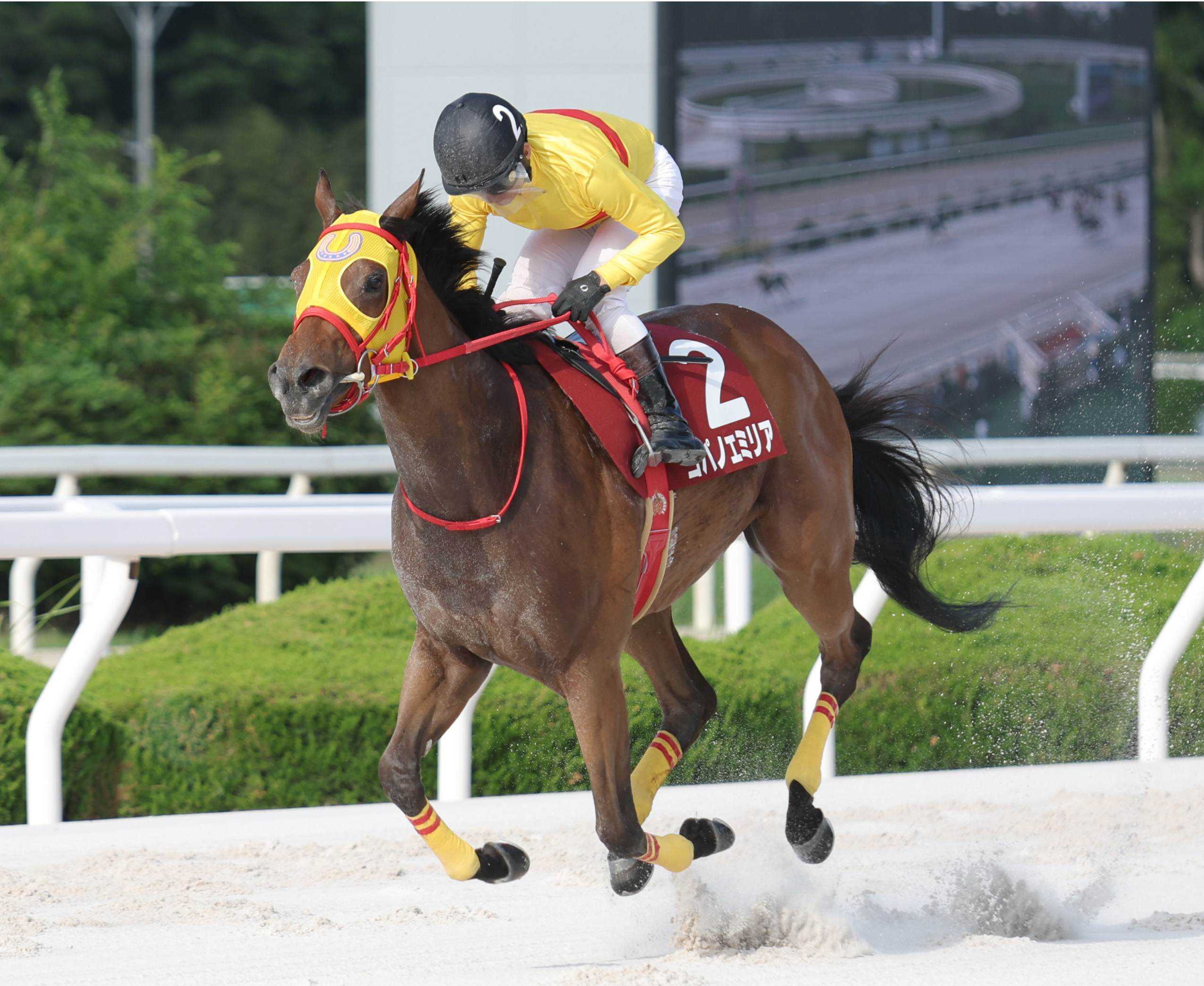 コパノエミリア