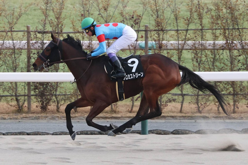 プロミストジーン