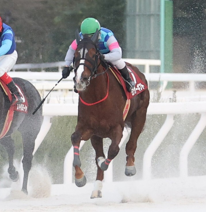 モンゲーギフト