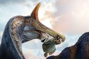 新たに発見された「地獄のサギ」、スピノサウルスめぐる長年の論争に新たな証拠(1/2) - CNN.co.jp