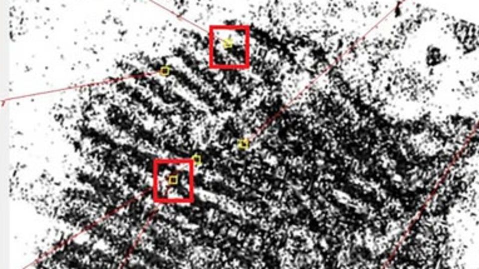 自動生体認証システム（ABIS）を用いた指紋の分析画像/Herrero, A. et al./Springer Nature