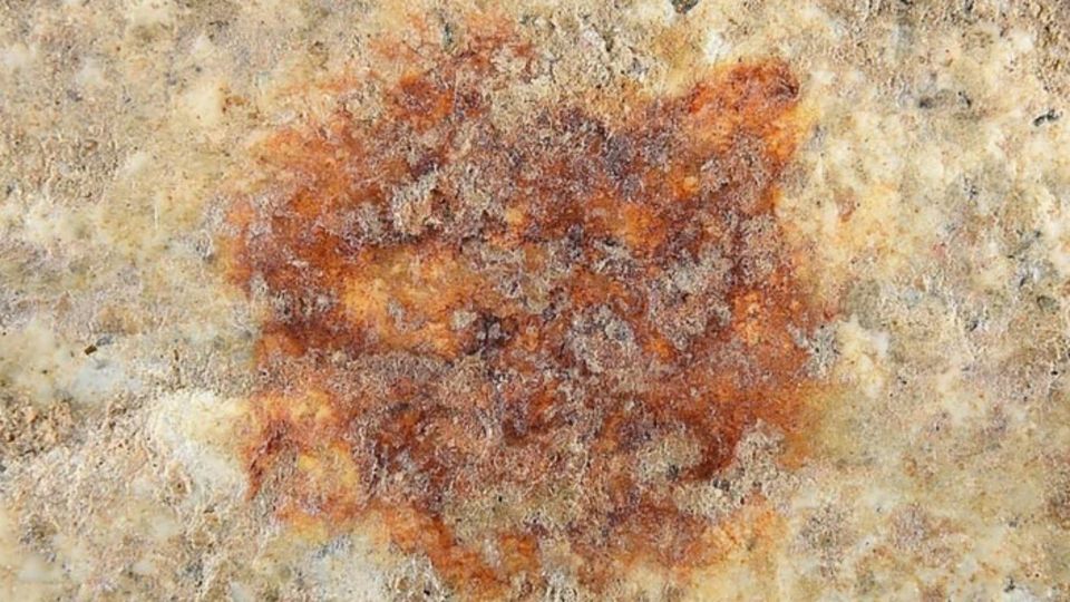 赤い点の拡大画像。石に付着した年代は4万3000年前で、ホミニン（ヒト族）の完全な指紋としては最古のものとなる可能性がある/Herrero, A. et al./Springer Nature