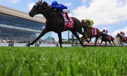 【高松宮記念／全頭診断】サトノレーヴ、ナムラクレア以外の7歳世代に「2.3.1.0」　“ヒモ穴警戒”舞台巧者は