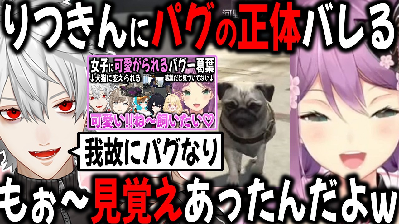 可愛がっていたパグの正体が葛葉だと知るりつきん【切り抜き/NEWTOWN /GTA/にじさんじ】 可愛がっていたパグの正体が葛葉だと知るりつきん【切り抜き/NEWTOWN /GTA/にじさんじ】