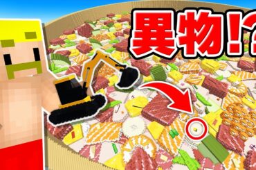 超巨大ちらし寿司から異物を100個見つけるまで終われません！！【マイクラ】
