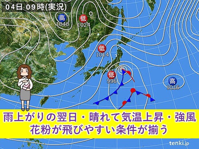 今日4日(水)は広く晴れるが風が強い　スギ花粉の飛散量増加