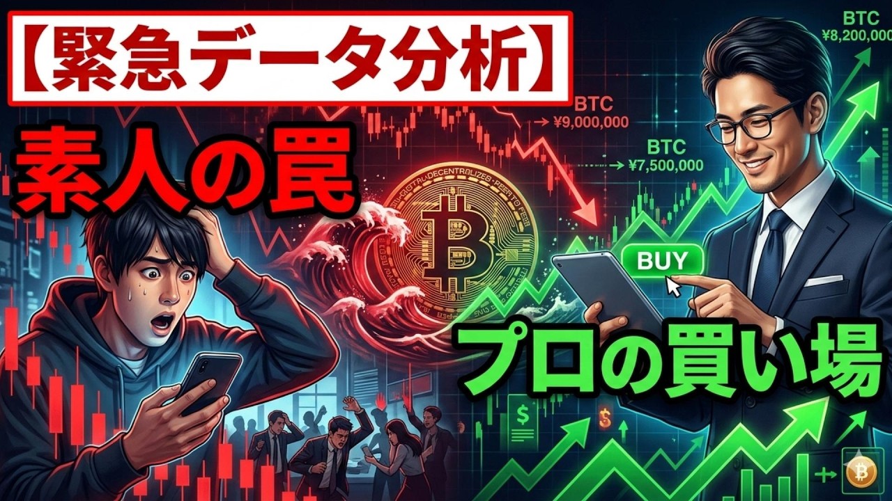 【ビットコイン 仮想通貨】【緊急データ分析】全面安の暗号資産市場歴史が証明する「素人の罠」とプロの買い場(朝活2088)