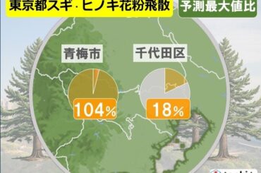 スギ花粉ピーク　来週も大量飛散が続く　ヒノキ花粉も飛散始まる　ピークはいつまで?