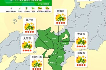 明日15日　近畿ではスギ花粉が大量飛散の可能性　家の中でも万全の対策を