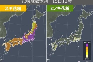 明日15日も関東など花粉飛散は「極めて多い」　来週はスギからヒノキにバトンタッチ