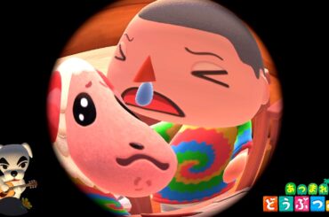 さよならバッファロークソ島、さよならちゃちゃまる【あつまれ どうぶつの森】最終回