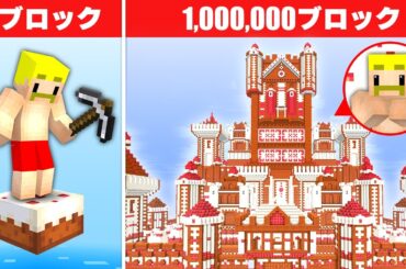 100万ブロックのお城を作れるまで終われません！【マイクラ】