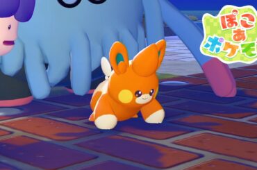 あっ、パモさん｜ぽこあポケモン #10