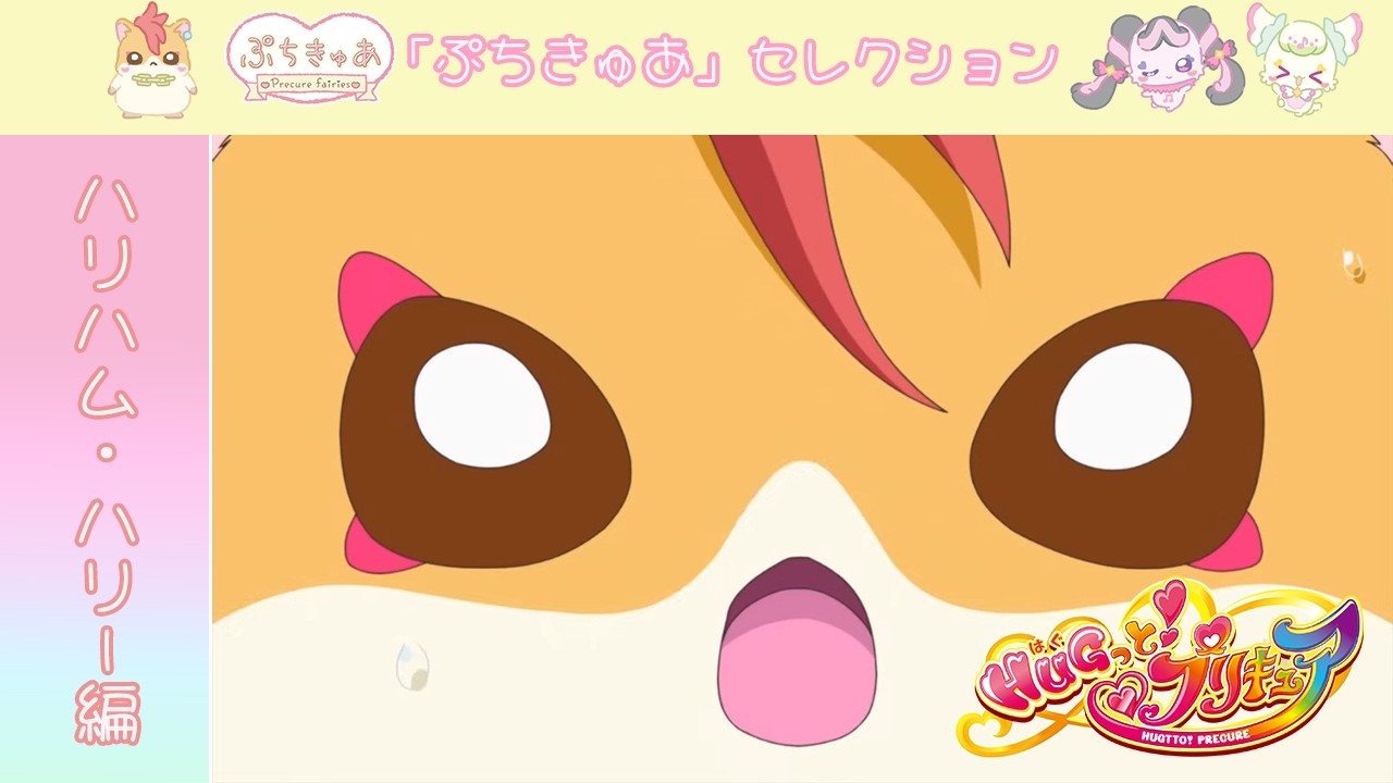 【ハリハム・ハリー編】『HUGっと!プリキュア』第39話「明日のために…!みんなでトゥモロー!」