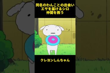 同名のわんことの出会いエサを届けるシロ仲間を救う #お笑い #面白集 #アニメ #クレヨンしんちゃん #面白い