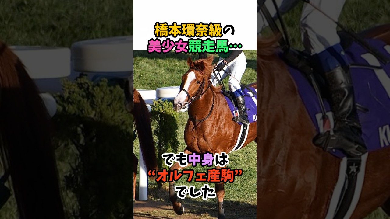 橋本環奈級の美少女競走馬・・・でも中身は”オルフェ産駒”でした#競馬 #horse