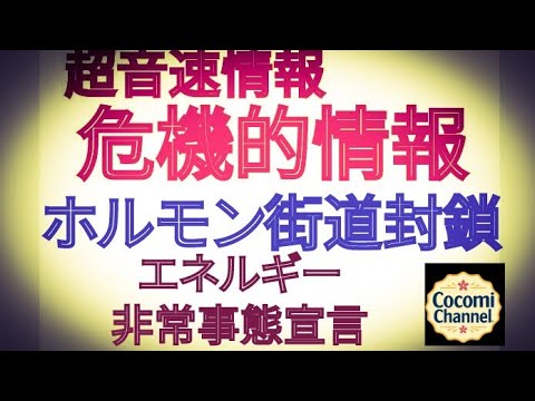 【【超音速情報】】危機的情報 ホルモン街道封鎖 エネルギー 非常事態宣言発令