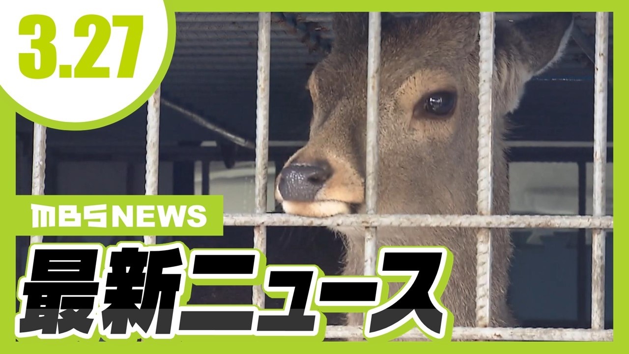 捕獲されたシカの『引越し先』は大阪・能勢町の温泉宿/【国保逃れ疑惑】大阪市議会が元維新の市議2人に辞職勧告決議 保険料納付逃れた実態が維新の調査で判明【3/27最新ニュース】 捕獲されたシカの『引越し先』は大阪・能勢町の温泉宿/【国保逃れ疑惑】大阪市議会が元維新の市議2人に辞職勧告決議 保険料納付逃れた実態が維新の調査で判明【3/27最新ニュース】