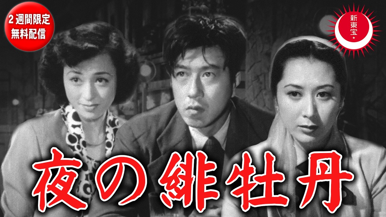 【島崎雪子の魅力あふれるメロドラマ・2週間限定無料配信】夜の緋牡丹