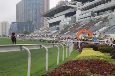 香港チャンピオンズデー登録馬発表　QE2はマスカレードボール、ミュージアムマイル、ソジーなど48頭 - スポニチ Sponichi Annex ギャンブル