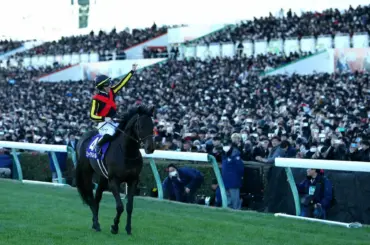 有馬記念を制した皐月賞馬ミュージアムマイルが香港QE2の招待を受諾 - スポニチ Sponichi Annex ギャンブル