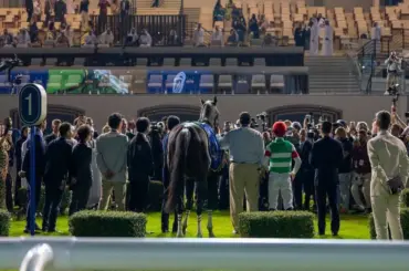 アブダビゴールドC覇者シュトラウスはモレイラとコンビ継続で香港チャンピオンズマイルへ - スポニチ Sponichi Annex ギャンブル