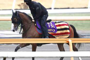 馬トク激走馬に計算されたチェルヴィニア（カメラ・荒牧　徹）