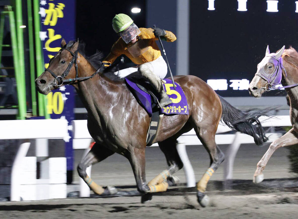 高知・御厨人窟賞を制したジョウショーホープ