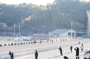 高知競馬場
