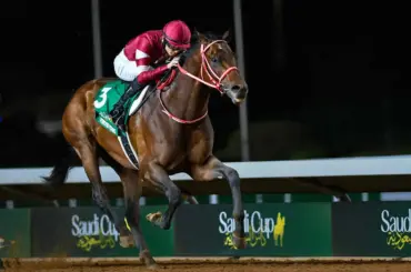 鈴木農水大臣がドバイ滞在中のJRA関係者の状況確認　年度代表馬フォーエバーヤングなどが滞在中 - スポニチ Sponichi Annex ギャンブル