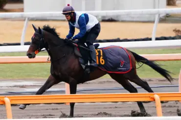 【弥生賞ディープ記念】ライヒスアドラー　飛び立つ　3歳馬充実　上原佑厩舎　皐月賞の権利獲りへ - スポニチ Sponichi Annex ギャンブル