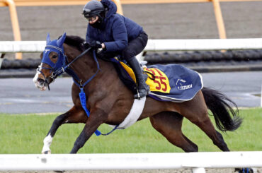 馬トク激走馬に計算されたボンドガール（カメラ・荒牧　徹）
