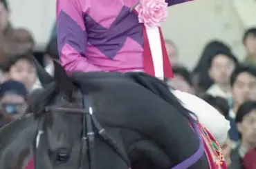 【追憶のスプリングS】94年ナリタブライアン　余裕の勝利に南井騎手「ダービー？勝てるんじゃないの」 - スポニチ Sponichi Annex ギャンブル