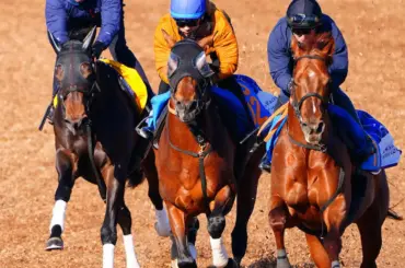 【金鯱賞】ドゥラドーレス　余力十分に併入　宮田師「なんとかタイトルを」 - スポニチ Sponichi Annex ギャンブル